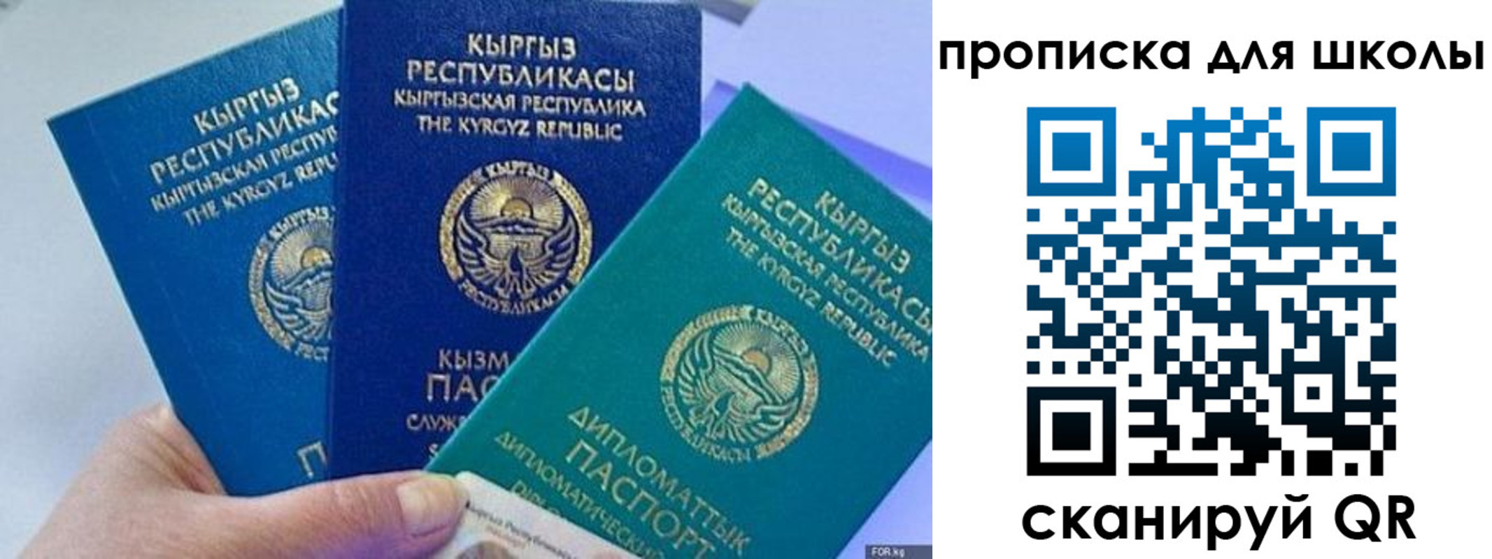 прописка регистрация в Кингисеппе